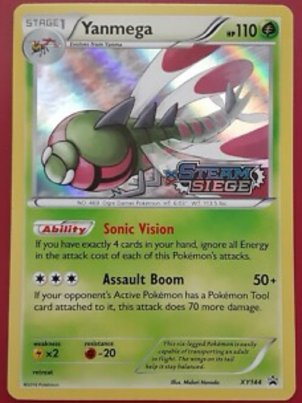 Yanmega XY144 Holo